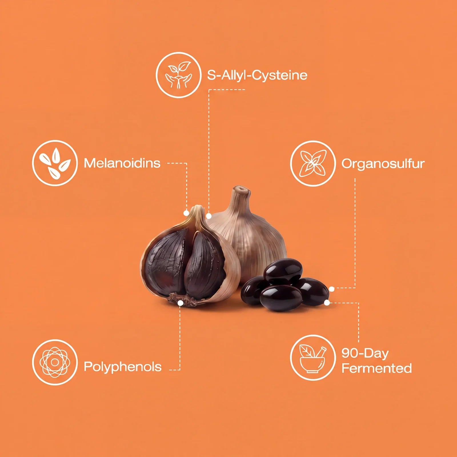 4 Super-Ingredients Inside